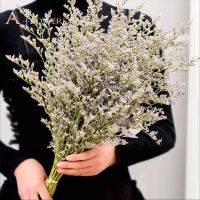 100g Lovegrass Natural Limonium Dried Flowers Boho Nordic Home Decor Aesthetic Lavender Flower Garden Bridal Wedding Decoration