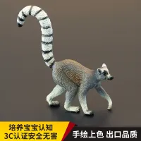 Solid childrens simulation wild animal toy model ring-tailed lemur festival-tailed primate cognitive gift decoration