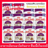 อาหารแมวเปียก Royal Canin Sensory Smell Jelly อาหารแมวกินยาก ชิ้นเนื้อในวุ้นเจลลี่ สำหรับแมวโตอายุ 1 ปีขึ้นไป 85กรัม (12ซอง)  Royal Canin Sensory Smell Wet Cat Food Chunks in Jelly 85g. (12pc)