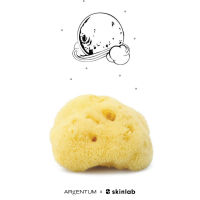 ARgENTUM Fina Silk Sea Sponge, La Lune Sur Leau [ฟองน้ำล้างหน้า, อ่อนโยนต่อผิว]