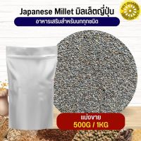 Japanese Millet  มิลเล็ตญี่ปุ่น อาหารนก กระต่าย หนู กระต่าย ชูก้า และสัตว์ฟันแทะ สะอาดได้คุณภาพ(แบ่งขาย 500G / 1KG)