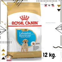 ?Lotใหม่ พร้อมส่งฟรี? Royal Canin Labrador Retriever Puppy รอยัลคานิน ลูกสุนัข พันธุ์ลาบราดอร์ รีทรีฟเวอร์ ขนาด 12 kg.  ✨