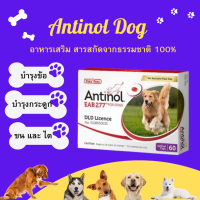 [ถูกสุด] Antinol ช่วยบำรุงข้อ กระดูก ขน ผิวหนัง และไต(แบ่งขาย 30 caps ) (1 กล่อง 60 caps) สำหรับสุนัข