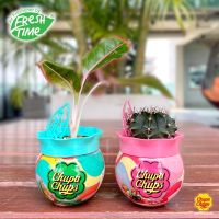 ส่งฟรี น้ำหอมปรับอากาศ FreshTime X Chupa Chups เจลหอมปรับอากาศ ขนาด 155g.หอมมาก สินค้าลิขสิทธิ์แท้