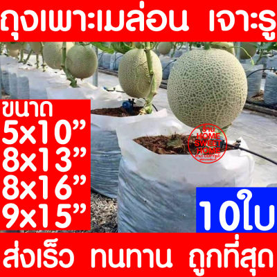 ถุงปลูกเมล่อน 10ใบ ขนาด 5x10