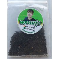 ?โปรดี!! เมล็ดผักเสี้ยน100กรัม100ใหม่พร้อมปลูกพร้อมส่ง Very Hot