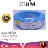 สายไฟ สายไฟฟ้า คุณภาพสูง  สายไฟ THW 60227 IEC01 BCC 1X2.5SQ.MM 100 ม. ฟ้า | BCC | THW60227IEC01 1X2.5SQ นำกระแสไฟได้ดี ทนทาน รองรับมาตรฐาน มอก. Electrical Wires จัดส่งฟรี Kerry ทั่วประเทศ