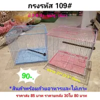 Woww สุดคุ้ม กรงนก ชูการ์ กระรอก สัตว์เลียง 109#shobi ราคาโปร กรง สุนัข กรง หนู แฮม เตอร์ กรง สุนัข ใหญ่ กรง กระรอก