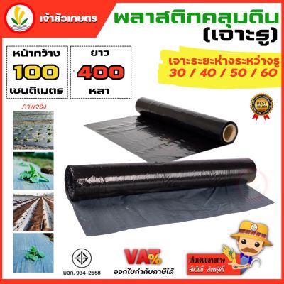 พลาสติกคลุมดิน กว้าง 100 ซม. 1 เมตร เจาะรู 30 ซม. 40 ซม. 50 ซม. 60 ซม. ยาว 400 หลา ผ้าคลุมดิน คลุมวัชพืช พลาสติกคลุมหญ้า อย่างดี