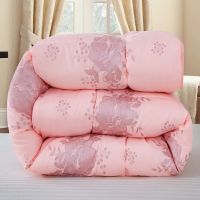 1.5-4 Kg 100 Filler Feather Velvet Quilt Thickened In Winter To Keep Warm Quilt In Autumn Winter Double Quilt Dormitory Quilt