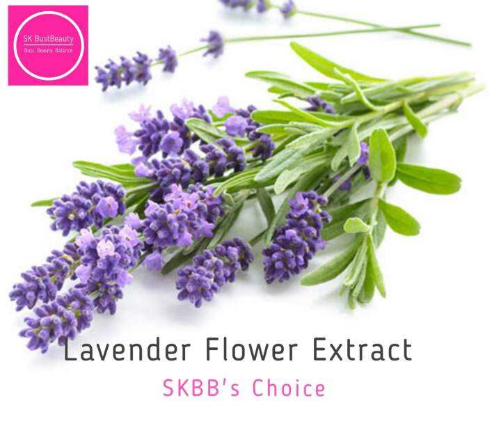 Lavender Flower Extract/ Cosmetic Botanical Extract Lazada