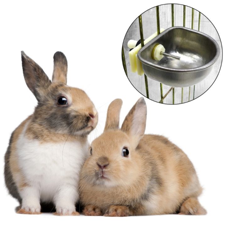 กระต่ายอัตโนมัติดื่มน้ำป้อนแก้ไขชามสแตนเลสtอุปกรณ์ร่วม
