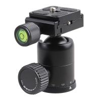 SLR Camera Universal Ball Gimbal Professional Tripod Mini Ball Head Pan Head Quick Release Plate QQ66