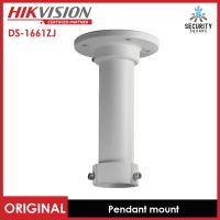 Hikvision DS-1661ZJ Pendant mount