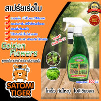 ปุ๋ยน้ำ สูตรเร่งใบ-ลำต้น-ราก ขนาด 500 ซีซี  Golden Flowers ปุ๋ยอินทรีย์ ปุ๋ยเสริม ปุ๋ยเร่งใบ อาหารพืช ปุ๋ยเสริมใบ ฮอร์โมนพืช ใบดกเขียว