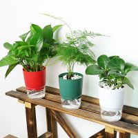 1PC Lazy Self-Absorbing Flowerpot Plant Pot Self Watering Garden Planter Small Flowerpot African Violet Window Plant Care Soil