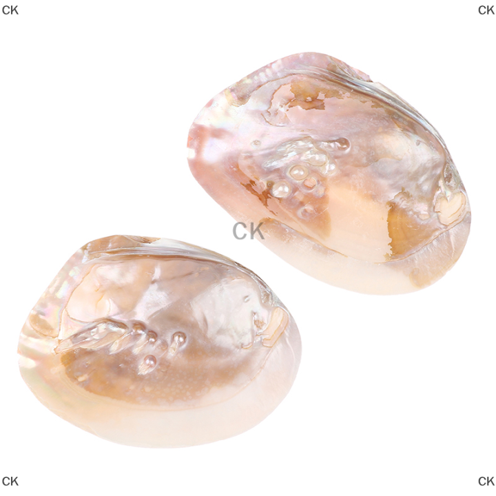 ck-มุกน้ำจืดธรรมชาติเปลือกหอย-oyster-mother-of-pearl-nautical-decoration