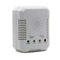 Natural Gas CO Gas Leak Detector Carbon Monoxide Combustible Gas Detector for Home EU Plug