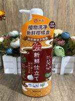 DD KK Baslin Shuhe herbal shower gel plant extract vitamin C whole family moisturizing citrus fragrance