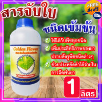 ส่งฟรี❗❗สารจับใบ ชนิดเข้มข้น (1 ลิตร)?สารป้องกัน และ กำจัดศัตรู พืชได้ทุกชนิด ช่วยเพิ่มประสิทธิภาพของตัวยาที่ใช้กับพืชให้ดียิ่งขึ้น??