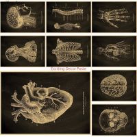 【YD】 Anatomical Chalkboard Poster Paper Posters  Medicine Student Wall Painting