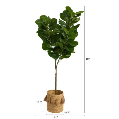 6 Fiddle Leaf Fig ต้นไม้ประดิษฐ์ในชาวไร่