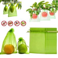 ❈ 20/50/100PCS Fruit Protection Bags for Fruit Trees Cover Mesh Bag with Drawstring Netting Barrier Bags for Plant Fruit Flower