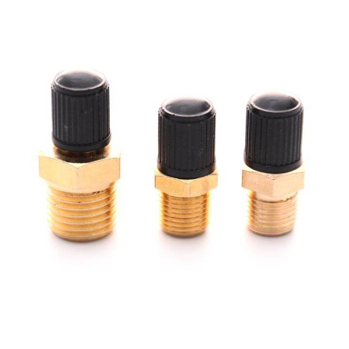 2pcs-pack-m10-1-8-1-4-npt-mpt-brass-air-compressor-tank-fill-valve-double-head-standard-valve-core-auto-car-tire-valves