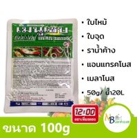 (100g) เมนูเซบ แมนโคแซบ ตราเที่ยงตรง กำจัดเชื้อรา ใบจุด ใบไหม้ ราน้ำค้าง แอนแทรคโนส เมลาโนส ราสนิม ป้องกันกำจัดโรคพืช 0156