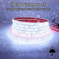 IP68 Waterproof LED Strip Light 2835 DC 24V High Quality Underwater Outdoor Satety Flexible LED Tape 120Leds Ribbon for Pool