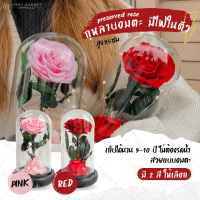 Inspy กุหลาบสดในโหลแก้ว มีไฟในตัว มี 2 สีให้เลือก กุหลาบในโหลแก้ว Preserved Rose ของขวัญวันครบรอบ ของวัญให้แฟน ของวัญวันวาเลนไทน์