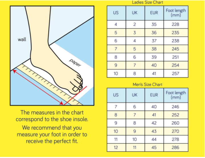 scholl-รองเท้าแตะผู้ชาย-scholl-รองเท้าแตะในห้อง-scholl-รองเท้าแตะห้องนอน-scholl-รองเท้าแตะเกาหลี-scholl-รองเท้าแตะผู้ชาย-scholl-รองเท้าผู้ชาย-รองเท้าแตะไซส์ใหญ่-45-46-47-48-49-สกอลล์