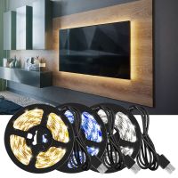 5M USB Led Strip Lights Room Decor 2835 Christmas Decoration Bedroom Closets Kitchen TV Ambient Light Neon Wall Lamps Luces Led Night Lights