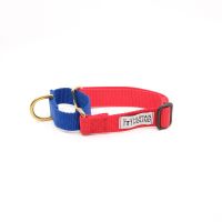 Martingale Collar Human and Hound - Martingale Blue / Bright Red collar dog trainer