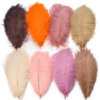 10Pcs Colorful Fluffy Feathers Feather Plumes for Wedding Vases Table Centerpiece Decoration Crafts