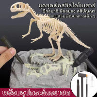 ของเล่นขุดDIY ชุดขุดฟอสซิลไดโนเสาร์ ชุดขุดฟอสซิล ไดโนเสาร์ฟอสซิล Fossil Dinosour ของเล่นเด็ก ของเล่นไดโนเสาร์