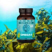 Algae-Based Omega-3, Vegan DHA + EPA, 60 Vegan Softgels