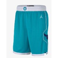 Hot 【hot pressed】nba shorts Charlotte Hornets blue basketbaall shorts