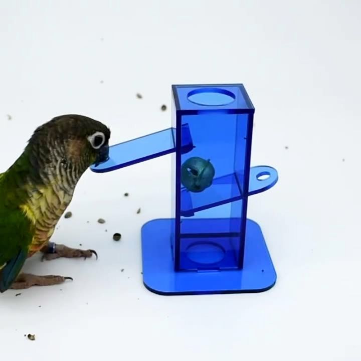 นกจับเหยื่อของเล่นกล่องอะคริลิสีฟ้าใสที่มีระฆังโลหะสีทองการปรับปรุงสติปัญญาสำหรับนกแก้ว-c-ockatiel-นกแก้ว