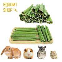 EQUOMT ธรรมชาติดีต่อสุขภาพสำหรับฟันทำความสะอาดฟันหมูกระรอกนกแก้วหนูหนูตะเภารากมะละกอแห้งรักษาฟันแท่งเคี้ยวเล่นกระต่ายแฮมสเตอร์ของเล่นฝึกเคี้ยวขนมฟันกรามกระต่ายก้านมะละกอ