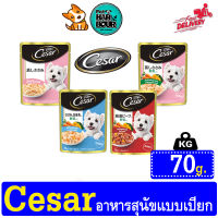 Cesar Premium Dog Pouch อาหารสุนัขชนิดเปียก แบบซอง มี 4 รสชาติ 70g.