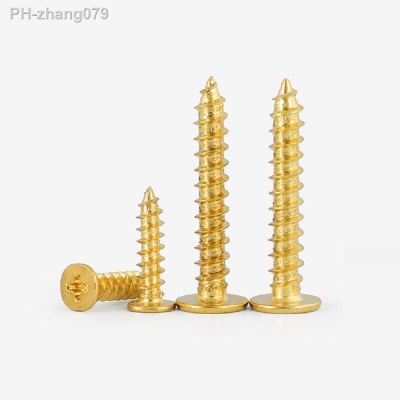 M3M4M5 Brass-plated gold CA flat head self-tapping screw nails large flat thin head screw flat head pointed tail self-tapping