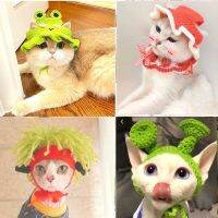 ✥✠¤ wool pet head whimsy cute cap manually drag cat hat dog set wholesale