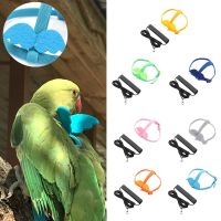 QUABOG Cockatiel Flying Training Rope With Wing For Small Medium Birds Bird Traction Belt Bird Nylon Bird Harness Flight Training Rope Bite