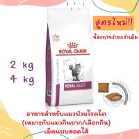 [มีของพร้อมส่ง!!?] Royal Canin Renal Select อาหารแมว สูตรกินง่าย 4 กก. / 2 กก. ด่วน!! จำนวนจำกัด ส่งฟรี !!