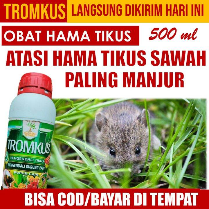 (PROMO) OBAT Pembasmi HAMA TIKUS PADI SAWAH TROMKUS Isi 500 ML - PUPUK ...