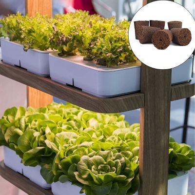 Plant Grow Sponges for Garden Hydroponic Indoor Garden Smart Sponge with Nutrients, Replacement Grow Pod