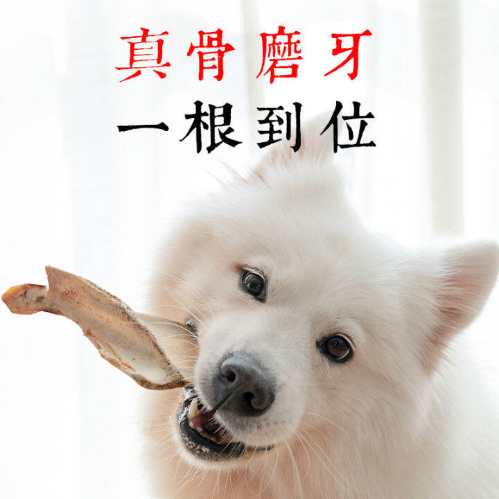 Selfmade dog snacks, grinding bars, sheep fan bones, Teddy Golden Hair