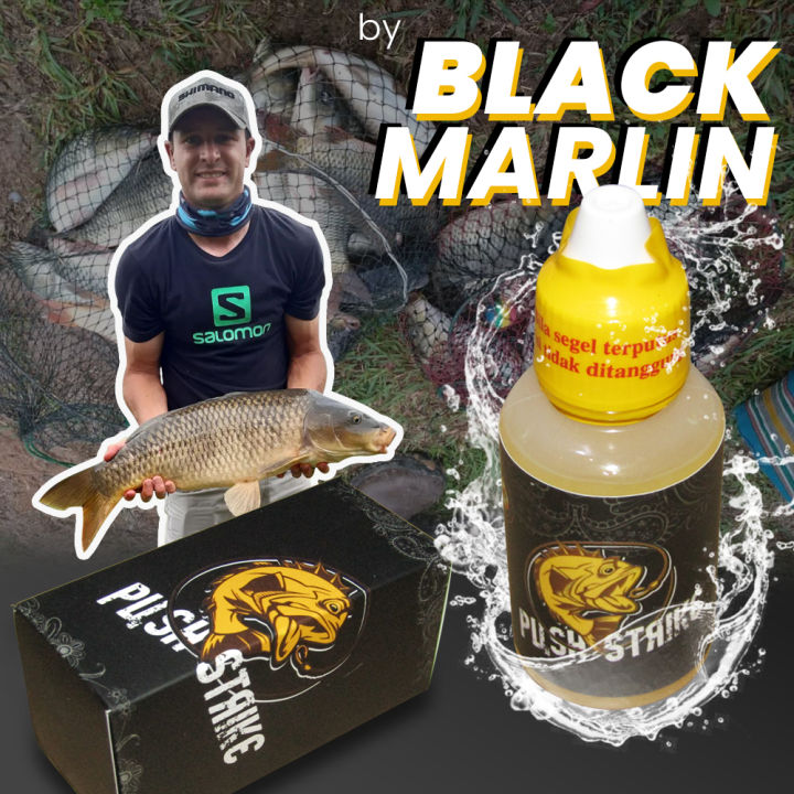 Essen Black Marlin Ikan Mas 30ml By Push Strike Harian Kilo Gebrus Lomba Galatama Lazada Indonesia 5423