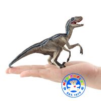 Munich Play - โมเดล ไดโนเสาร์ Velociraptor แถบฟ้า ขนาด 16.00 CM (จากหาดใหญ่)